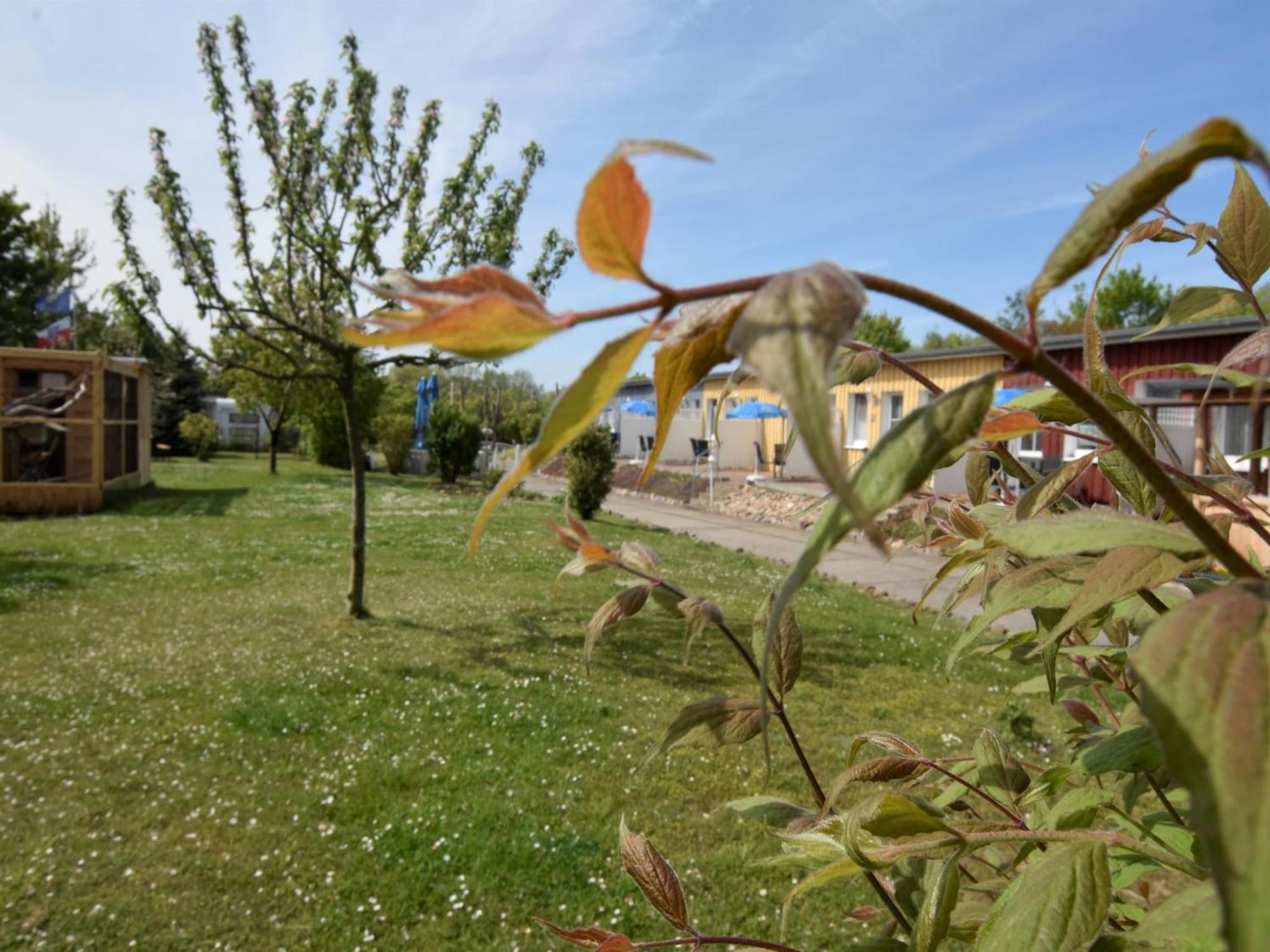 Pretty Apartment In Wiek With Garden Wiek auf Rügen エクステリア 写真